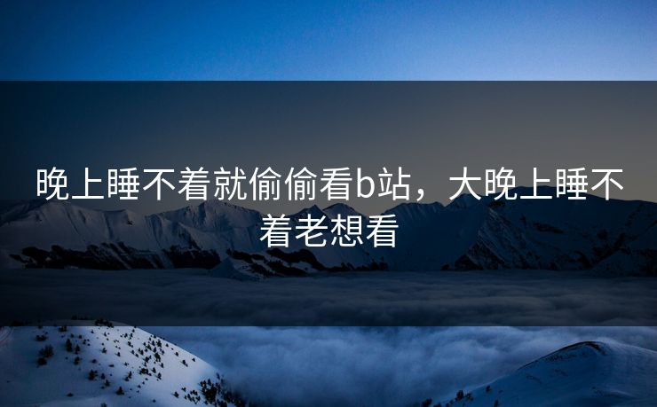 晚上睡不着就偷偷看b站，大晚上睡不着老想看
