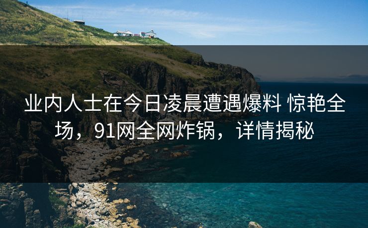 业内人士在今日凌晨遭遇爆料 惊艳全场,91网全网炸锅,详情揭秘 业内人士在今日凌晨遭遇爆料 惊艳全场,91网全网炸锅,详情揭秘