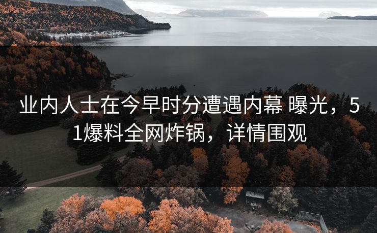 业内人士在今早时分遭遇内幕 曝光，51爆料全网炸锅，详情围观