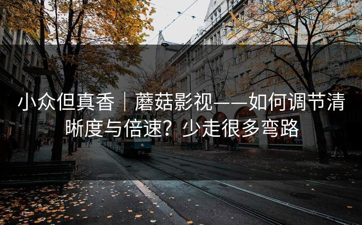 小众但真香|蘑菇影视——如何调节清晰度与倍速?少走很多弯路 小众但真香|蘑菇影视——如何调节清晰度与倍速?少走很多弯路