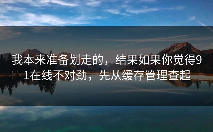 我本来准备划走的,结果如果你觉得91在线不对劲,先从缓存管理查起 我本来准备划走的,结果如果你觉得91在线不对劲,先从缓存管理查起