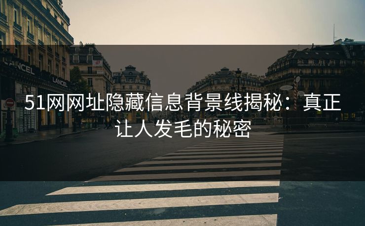 51网网址隐藏信息背景线揭秘:真正让人发毛的秘密 51网网址隐藏信息背景线揭秘:真正让人发毛的秘密